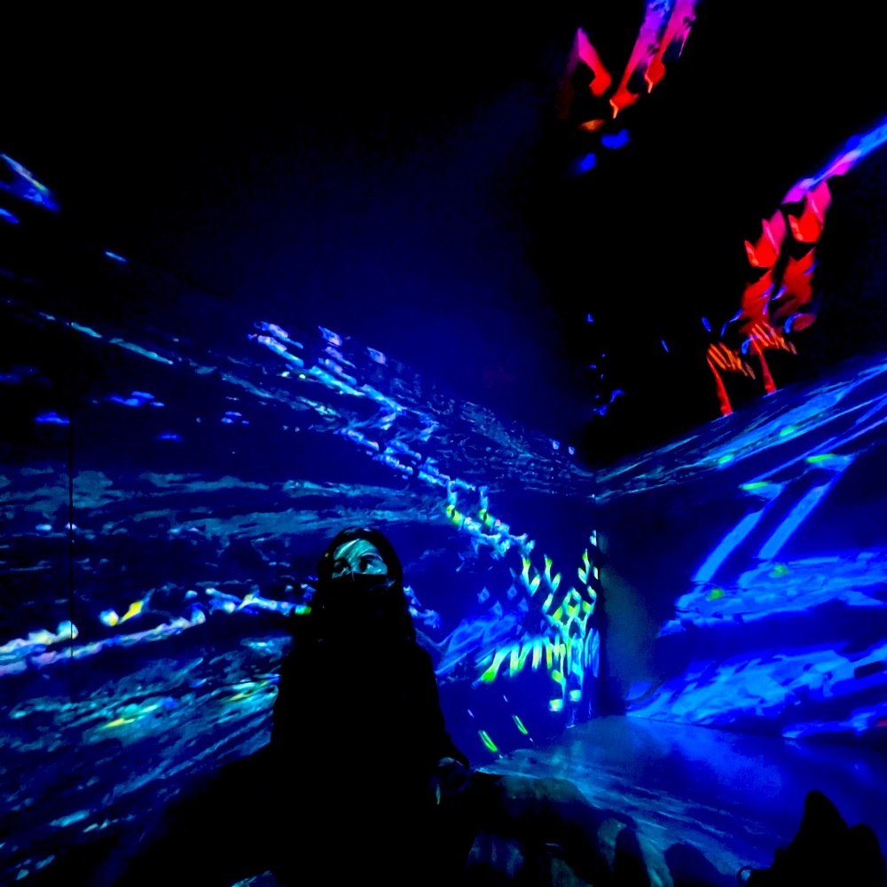 Meet your Posher, Lilli